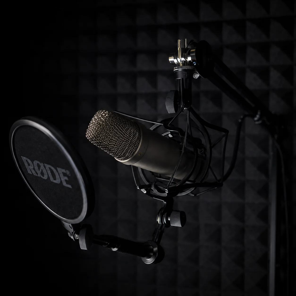 Microphone and pop filter in an acoustically treated recording booth